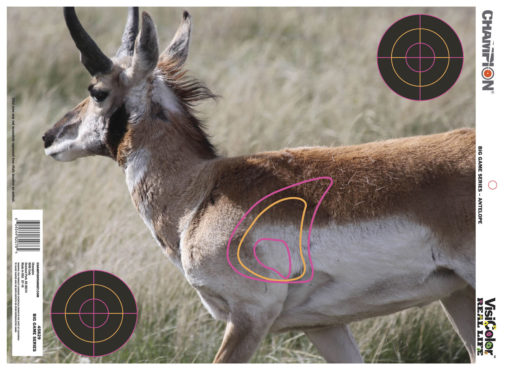 Champion Targets 45829 VisiColor Real Life Targets Deer/Antelope/Whitetail Deer 12 Targets