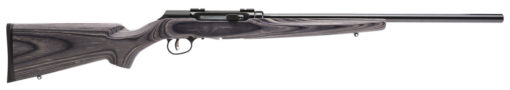 Savage Arms 47006 A17 Target Sporter Semi-Auto 17 HMR 10+1 Cap 22" Black Rec Gray Laminate Stock Right Hand (Full Size)