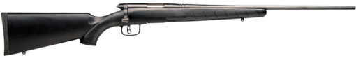 Savage Arms 96901 B.MAG  17 WSM 8+1 Cap 22" Matte Black Rec/Barrel Matte Black Stock Right Hand (Full Size)