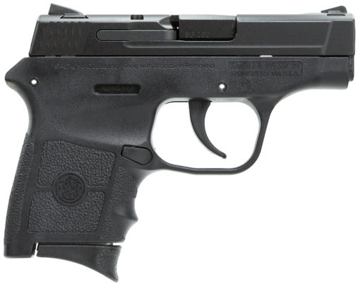 Smith & Wesson 109381 M&P Bodyguard 380 ACP 2.75" 6+1 Matte Black Black Armornite Stainless Steel Slide Black Polymer Grip
