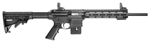 Smith & Wesson 10207 M&P15-22 Sport *CT
