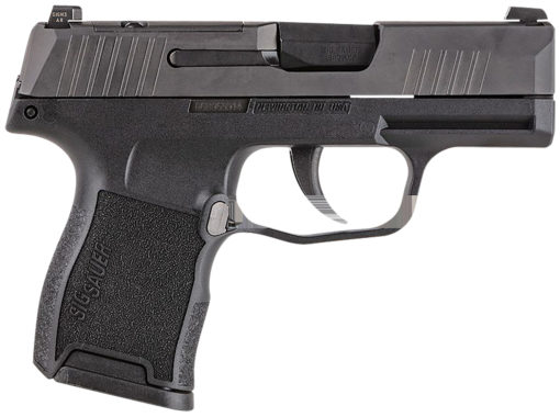 Sig Sauer 365-380-BSS P365  380 ACP 3.10" 10+1 Stainless Steel Frame Black Nitron Stainless Steel Slide with Optics Cut Black Polymer Grip Night Sights Includes 2 Mags